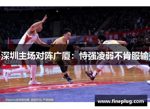 深圳主场对阵广厦：恃强凌弱不肯服输